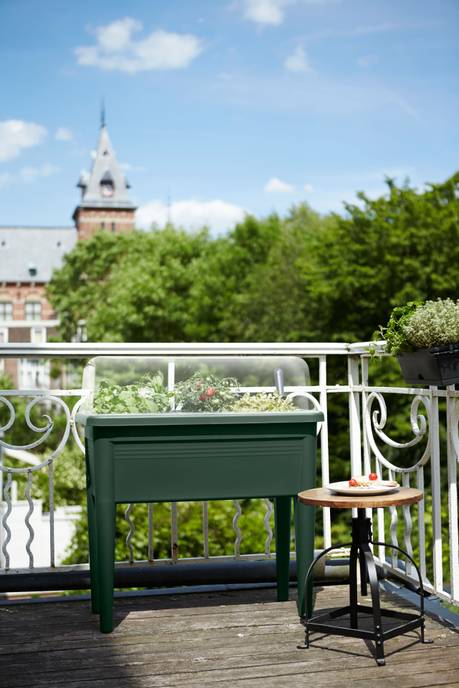 green basics table de culture xxl 75cm leaf green